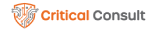criticalconsult.dk